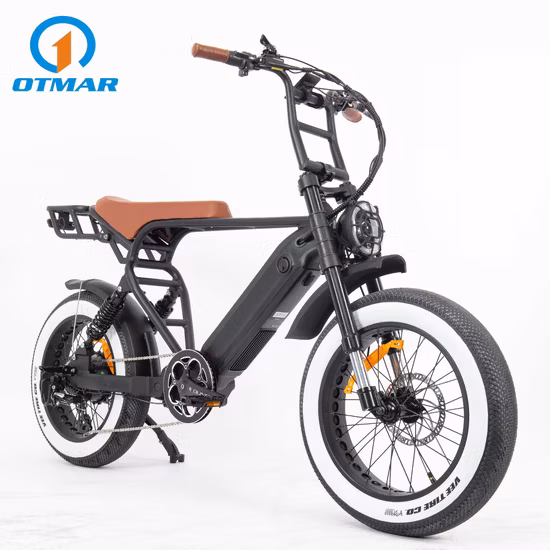 Queene/48V 750W Hidden Battery Fat Tyre Electric E-Bicycle Full Suspension Electric Cycle Mountain Electric Bike