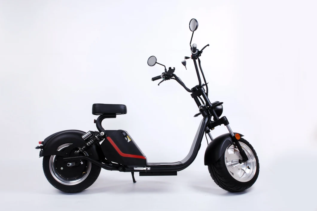 2020 High Grade Powerful 3000W Electric Dirt Bike with 13 Inch Wheel for Adults