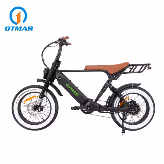 Queene/48V 750W Hidden Battery Fat Tyre Electric E-Bicycle Full Suspension Electric Cycle Mountain Electric Bike