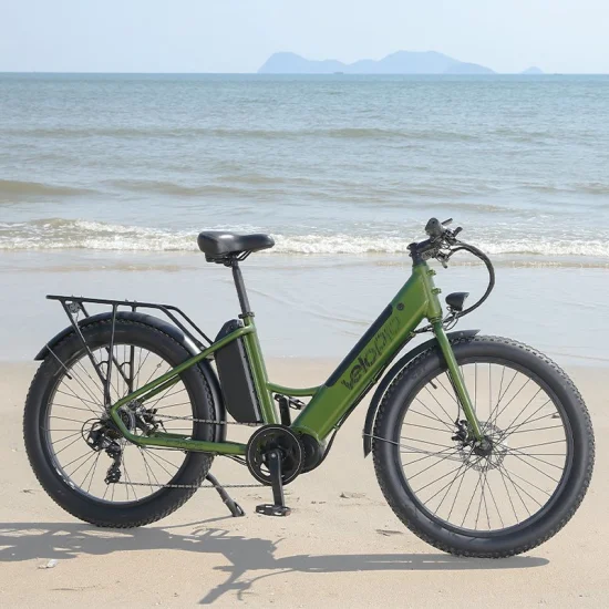 48V 500W Elektrisches Citybike MITTLERER Antriebsmotor Radfahren Elektrofahrrad Leistungsstarkes Ebike Fat Tire Elektro-Mountainbike