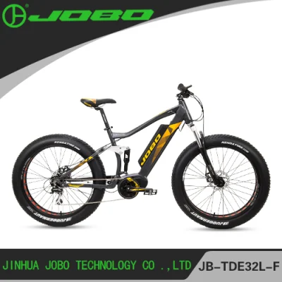 Snow Bike Review 1000W Elektro-Snowbike mit Federung Jb-Tde32L-F