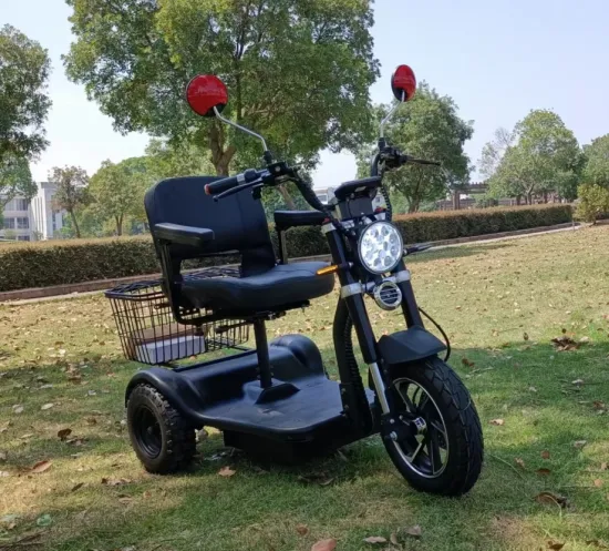 Neue Ankunft 500W-750W City Coco Trike Drei Räder Elektrische Dreiräder Roller