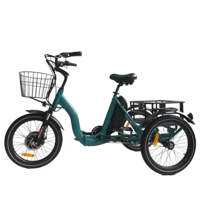 Heißer Verkauf Stadt Elektrische Trike Faltbare 3 Rad Cargo Bike 36V/48V Lithium-Batterie Elektrische Dreirad Erwachsene straße Kleine Reifen E Trike