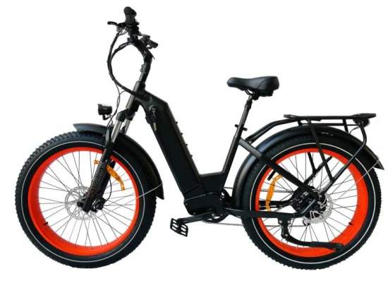 Queene Gute Qualität 1000W MID Drive E-Bike Vollfederung Fat Tire Mountain Electric Bike E-Bike