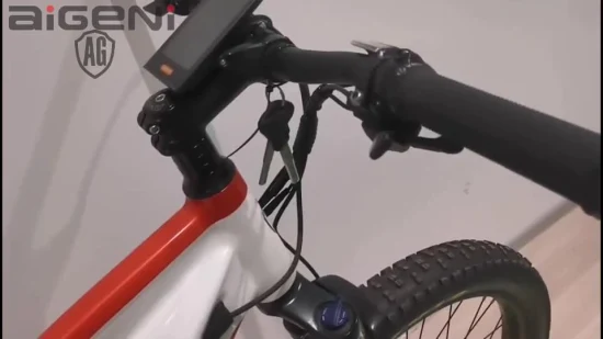 27,5 Zoll maßgeschneiderte Federung Elektrofahrrad Fat Tire Ebike MTB