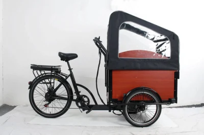 Bestes 500-W-Bafang-Etrike mit bürstenlosem Motor und regensicherem Schuppen, 2 Sitze, Familien-Citybike-Elektro-Trike