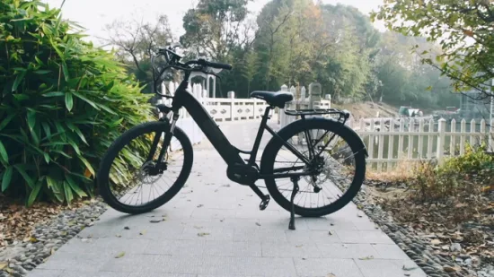 20 oder 22 Zoll Damen-Elektrofahrrad / leichtes elektrisches City-Bike/E-Bike